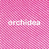 Farbe_orchidea_trasparenze_ambra